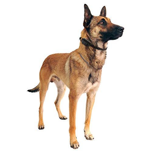 CPAD-011 Dog Training Collar Receiver Comfort Pad, Improves Contact, Reduces Irritation and Skin Sensitivities, Winged Ultra Comfort, Long Hair
