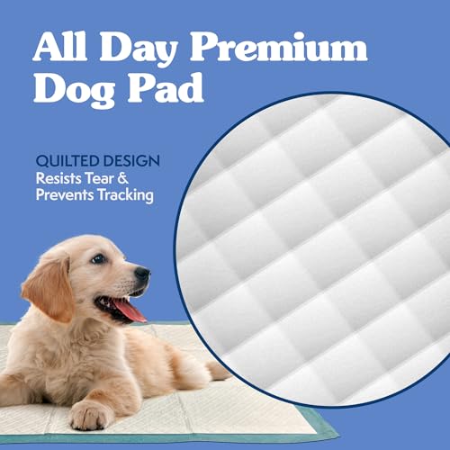 Large Pee Pads For Dogs, XL Puppy Potty Training Wee Wee Pad, 6 Layers Thick, Instashield Absorbent, Attracts Dogs, Leak Proof, Odor Neutralizing, Disposable, LARGE 23x24, 100 Count