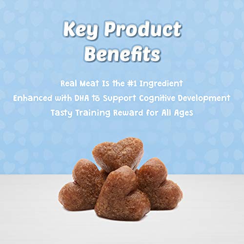 Bits Soft Dog Treats for Training, Made With Natural Ingredients & Enhanced with DHA, Chicken Recipe, 4-oz Bag