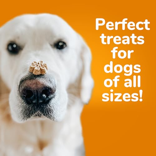 Baked Dog Treats – Sweet Potato Treats for Dogs – Healthy Low Calorie Treats – Free of Wheat, Corn and Soy – Sweet Potato and Pecan – 7 Ounces