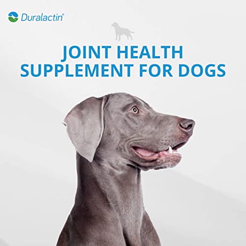 Pharmacal Duralactin Canine Chewable Tablets - Joint Health Supplement for Dogs & Puppies - Contains Milk Protein - Vanilla Flavor - 180 Chews