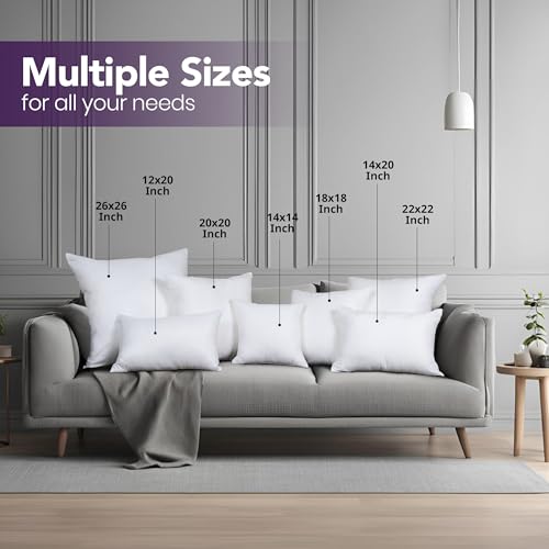 Throw Pillows Insert (Pack of 2, White) - 18 x 18 Inches Bed and Couch Pillows - Indoor Decorative Pillow