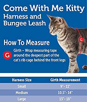 Come with Me Kitty Harness and Bungee Leash, Large, Lilac