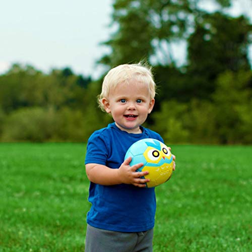 Kid and Toddler Soccer Ball - Size 1 and Size 3, Pump and Gift Box Included (Size 1, Terry, The Fox)