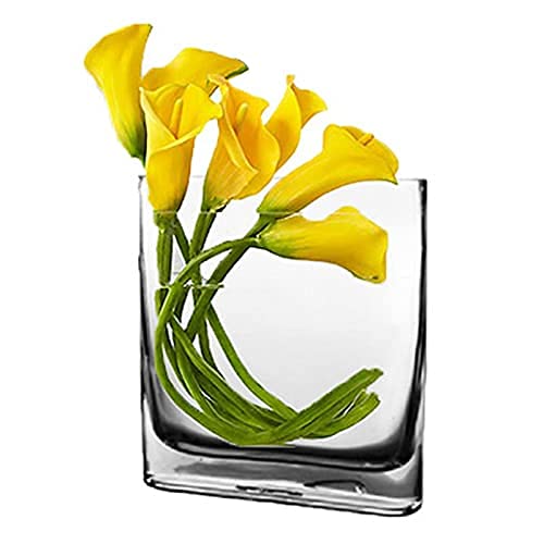 Glass Book Vase (H:8 Open:7x2) | Multiple Size Choices Round Edge Oval Flower Vase | Rectangular Wedding Centerpiece Vases