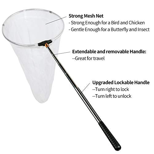 Insect and Butterfly Net with 12 Ring, 24 Net Depth, Handle Extends to 59 Inches for Adults and Kids (12 Ring, 59 Handle)