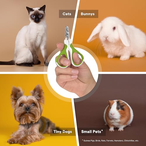 Pet Nail Clippers for Beginners and Groomers - Best Cat Nail Clippers & Claw Trimmer for Home Grooming Kit - Grooming Tool for Small Animals Tiny Dog Cat Bunny Rabbit Bird Puppy Kitten - Ebook Guide