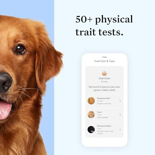 Panel Essential Dog DNA Kit: Most Accurate Test for 365+ Breeds, 30 Genetic Health Conditions, 50+ Traits, Relatives, Ancestry - 1 Pack