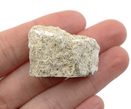 Raw Fossiliferous Limestone, Sedimentary Rock Specimen - Approx. 1 - Geologist Selected & Hand Processed - Great for Science Classrooms