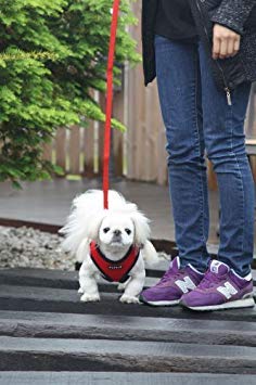 Soft Dog Harness No Choke Over-The-Head Triple Layered Breathable Mesh Adjustable Chest Belt and Quick-Release Buckle, Purple, Medium