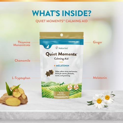 Quiet Moments Calming Aid Cat Supplement Plus Melatonin – Helps Reduce Stress in Cats – for Pet Storm Anxiety, Motion Sickness, Grooming, Separation, Travel – 50 Ct. Soft Chews