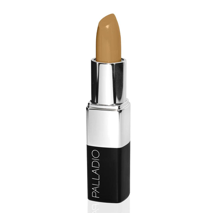 Treatment Concealer, Dark
