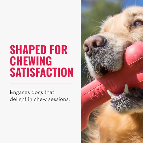 Goodie Bone - Classic Durable Natural Rubber Dog Bone, Supports Mental Engagement - Treat Dispensing - Red - for Medium Dogs