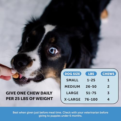 Skin Health Salmon Chews - Itch Relief for Dogs, Omega 3 Fish Oil for Dogs, Natural Salmon Oil for Dogs Chews for Healthy Skin & Coat, May Reduce Shedding, Dog Fish Oil Supplements - 90 Ct