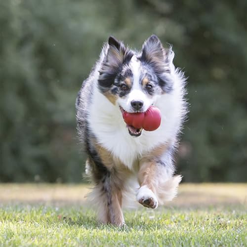 Classic Stuffable Dog Toy - Fetch & Chew Toy for Dogs - Treat-Filling Capabilities & Erratic Bounce for Extended Play Time - Durable Natural Rubber Material - for XX-Large Dogs