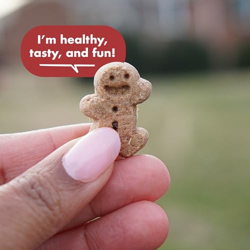 Buddy Biscuits Softies 5 oz Pouch, Grain-Free Soft & Chewy, Natural Grilled Beef Flavor Dog Treats, Oven Baked in The USA