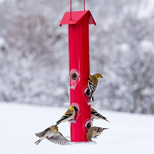 392 Feeder, Red