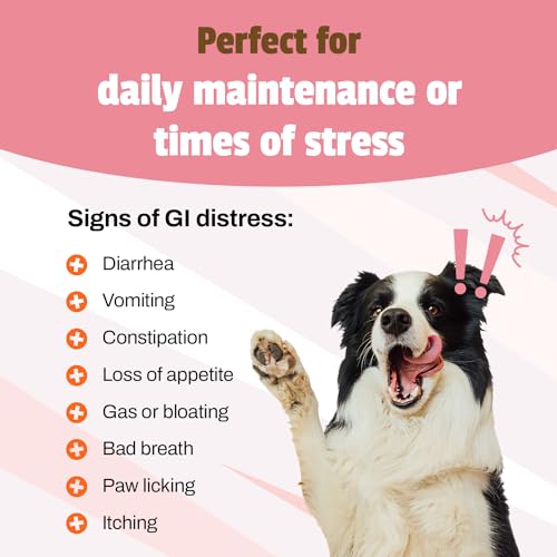 Daily Probiotic for Dogs, Duck Flavor, 160 Chews - 120M CFUs Pre and Probiotics for Dogs Digestive Health, Gut Health, Immune Support, Diarrhea, Allergies and Itching