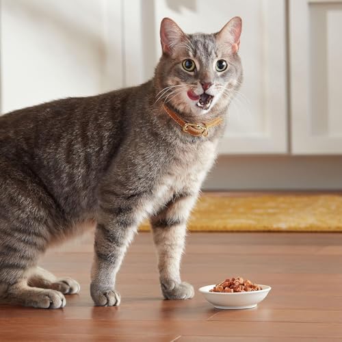 Seafood Selects Wet Cat Food Variety Pack, 2.75 Ounce Cups (Pack of 24)