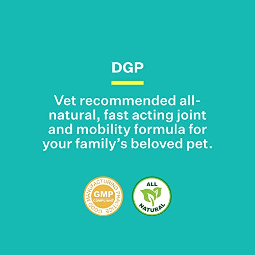 DGP All-Natural Joint Supplement for Dog Hip & Joint Support with Turmeric, Boswellia Extract, Feverfew - Quick Mobility Support - 60 Chew Tabs for Pets