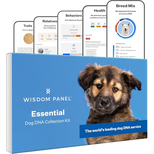 Panel Essential Dog DNA Kit: Most Accurate Test for 365+ Breeds, 30 Genetic Health Conditions, 50+ Traits, Relatives, Ancestry - 1 Pack