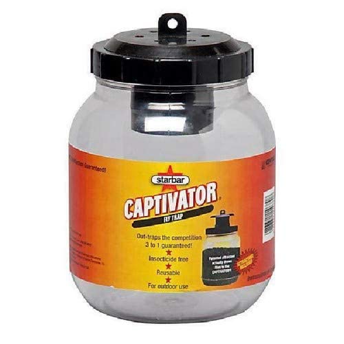 Home and Garden 14680 Starbar Captivator Fly Trap, (1.06 ounces or 30 grams)