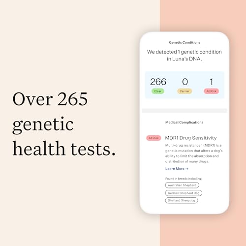 Panel Premium Dog DNA Kit: Most Comprehensive with 265+ Health Tests, Identify 365+ Dog Breeds, 50+ Traits, Relatives, Ancestry, Genetic Diversity - 1 Pack