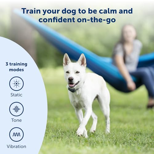 300 Yard Remote Training Collar – Choose from Tone, Vibration, or 15 Levels of Static Stimulation – Medium Range Option for Training Off Leash Dogs – Waterproof and Durable – Rechargeable