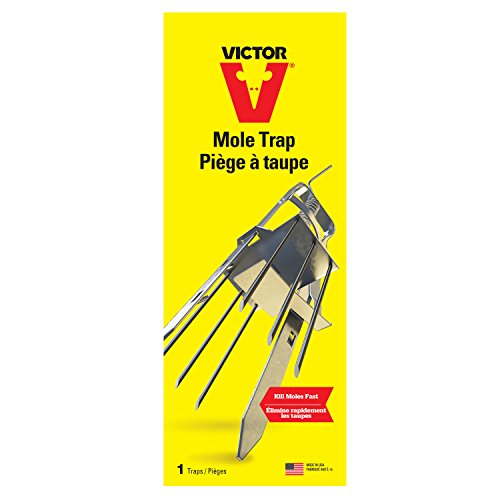 0645 Plunger Style Mole Trap and Killer