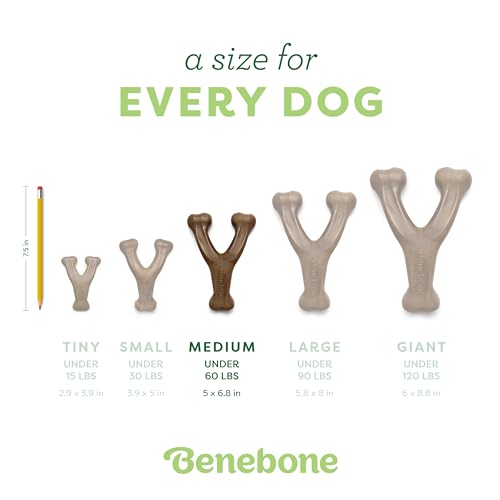 Wishbone Durable Dog Chew Toy for Aggressive Chewers, Real Bacon, Made in USA, Medium