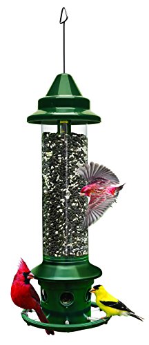 Squirrel Buster Plus Squirrel-proof Bird Feeder w/Cardinal Ring and 6 Feeding Ports, 5.1-pound Seed Capacity, Adjustable, Pole-mountable (POLE ADAPTOR SOLD SEPARATELY), Green