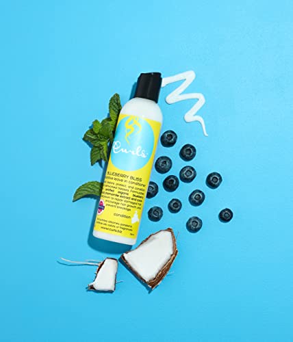 Blueberry Bliss Reparative Leave In Conditioner - 8 oz, Helps Repair Damage and Prevent Breakage, Conditioner for Curly Hair, Wavy, and Coily Hair Types