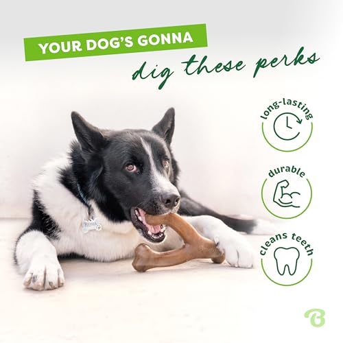 Wishbone Durable Dog Chew Toy for Aggressive Chewers, Made in USA, Small, Real Bacon Flavor