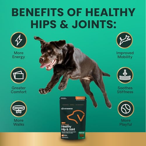 VetriScience Extra Strength Healthy Hip & Joint Chews, GlycoFlex Glucosamine & Green-Lipped Mussel Joint Support Supplement for Dogs, Promote Mobility & Soothe Joint Discomfort, Chicken, 120 Count