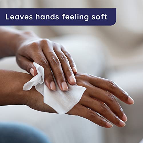 Antibacterial Hand Wipes, Tropical Splash - 20 ct. Size Wipes (10 Pack)