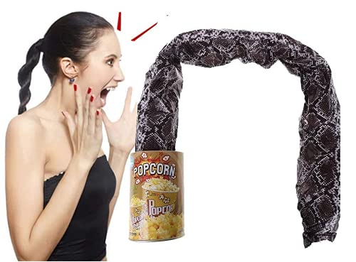 The Potato Chip Snake Can Jump Spring Snake Toy Gift April Fool Day Halloween Party Decoration Jokes in A Can Gag Gift Prank Large Size (Popcorn)