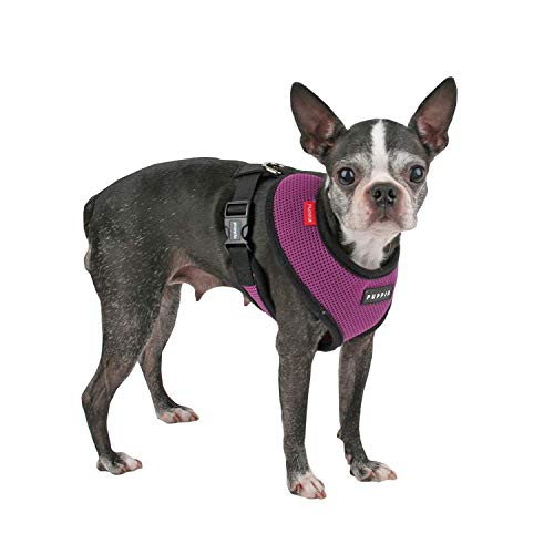 Soft Dog Harness No Choke Over-The-Head Triple Layered Breathable Mesh Adjustable Chest Belt and Quick-Release Buckle, Purple, X-Large