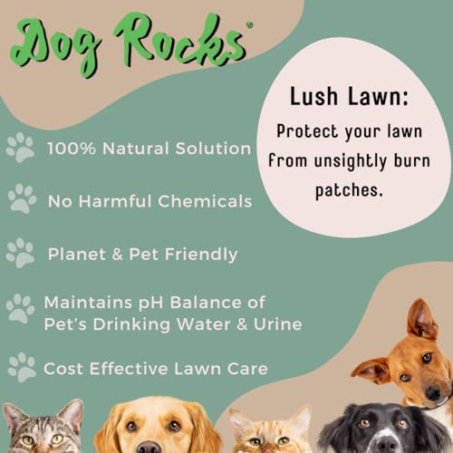 Dog Pee Grass Neutralizer for Green Grass in 3-5 Weeks | Dog Grass Saver Rock | 100% Natural Urine Neutralizer for Lawn, Grass and Hedges | 600 grams