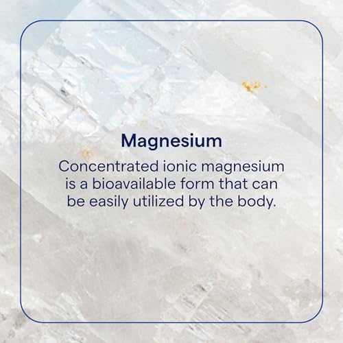 Mega-Mag - Liquid Energy Support Supplement with Magnesium & Chloride - Healthy Bone & Muscle Function Support Formula - Supplement to Support Nerve Health - 4 fl oz (30 Servings)