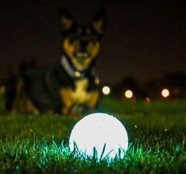 Glow in the Dark Bouncy Ball for Dogs, Chuckit Dog Toy, Max Glow Balls - Large, 3 Inch, Pack of 1