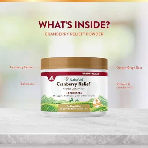 – Cranberry Relief Plus Echinacea | Helps Support a Healthy Urinary Tract & Immune System (50g Powder)