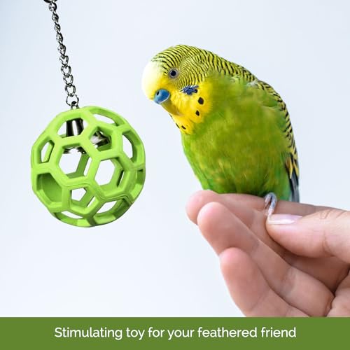 Pet Company Activitoys Hol-ee Roller Parrot Toy, 4 Inch Diameter (Colors Vary )