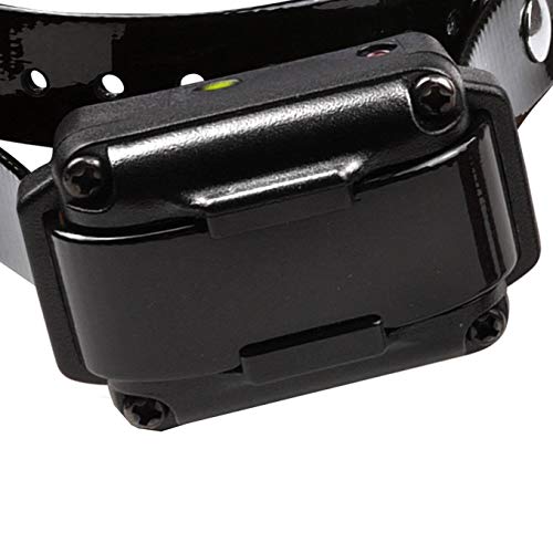 iQ Plus Rechargeable Waterproof 400-Yard Remote Dog Training E-Collar