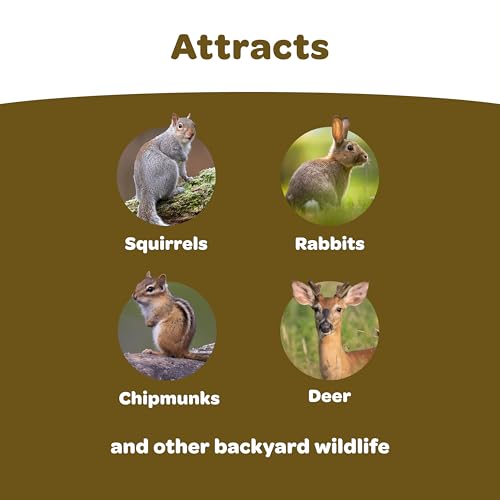 Backyard Wildlife Food Blend For Wild Squirrels, Chipmunks, Rabbits and Other Backyard Wildlife, 5 Pound