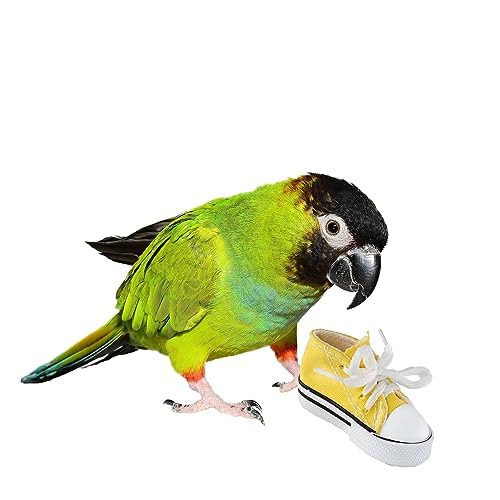 SB1058 Sneakers Bird Foot Toy - Engaging, Chewable Rubber & Fabric, Perfect for Medium & Large Birds like Parrots, Parakeets Cockatiels -Colorful & Fun - 3”x1-1/2”x1-1/4” (4 Pack)