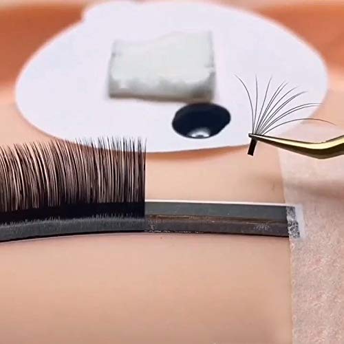 Rapid Blooming Lashes .05 .07 Easy Fan Eyelash Extensions 3D 4D 5D 6D 10D Self Fanning Lashes
