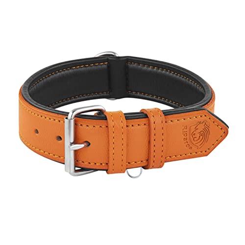Riparo Leather Dog Collar, Large Dog Collar, Padded Heavy Duty Dog Collar with Dog Tag Holder, Orange Dog Collar (XL, Orange)