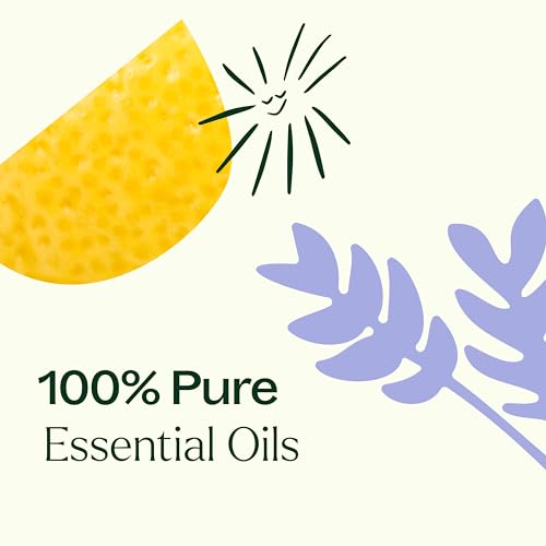 Top 6 USDA Organic Essential Oil Set - Lavender, Peppermint, Eucalyptus, Lemon, Tea Tree 100% Pure, Natural Aromatherapy, for Diffusion & Topical Use, Therapeutic Grade 10 mL (1/3 oz)
