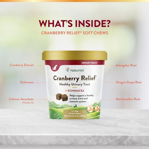 – Cranberry Relief Plus Echinacea – Helps Support a Healthy Urinary Tract & Immune System – 60 Soft Chews