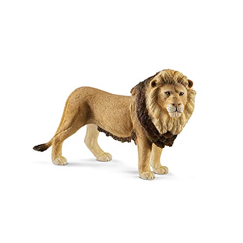 14812 - Lion